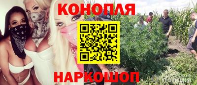 кокаин колумбия Кингисепп