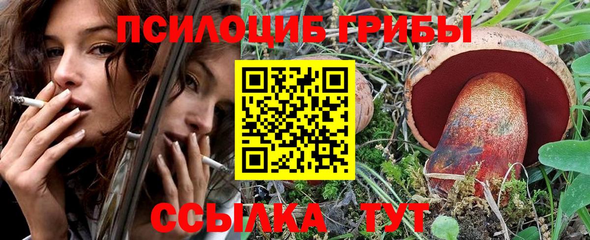 Псилоцибиновые грибы Psilocybine cubensis  Вход с VPN  Кудымкар 